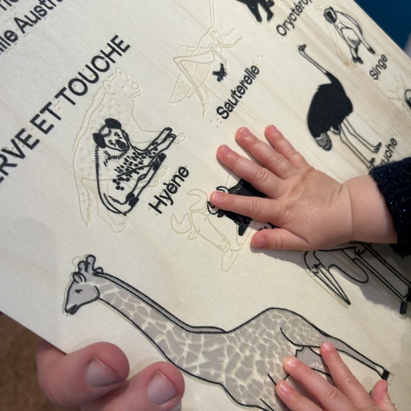 Vaste | photo-05-10-2025-17-23-33.jpg