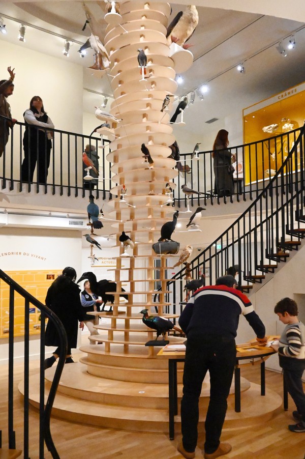 Vaste | vaste-clea-hameury-museum-du-havredsc_0539bis.jpg