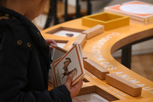 Vaste | vaste-clea-hameury-museum-du-havredsc_0704.jpg