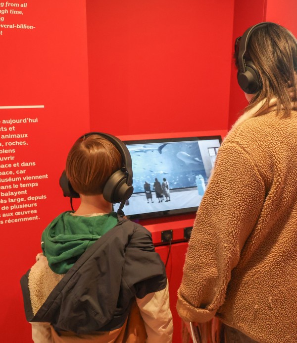 Vaste | vaste-havre-museum-598927632_1319825870187110_847358375176813294_n-copie.jpg