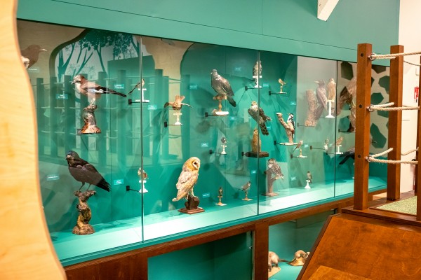 Vaste | vaste-museum-@-arnaud-tinel-ville-du-havre-14.jpg