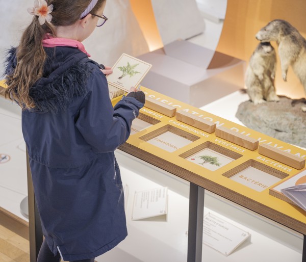 Vaste | vaste-museum-havre-2145.jpg