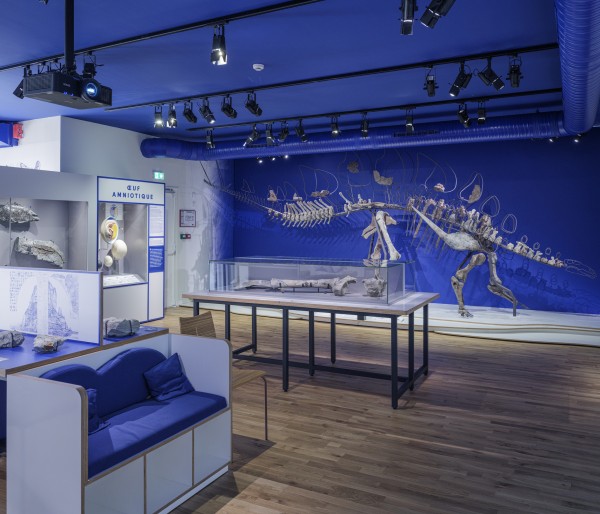 Vaste | vaste-museum-havre-2277.jpg
