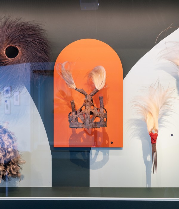 Vaste | lelievre-vaste-plumes-dscf2888.jpg